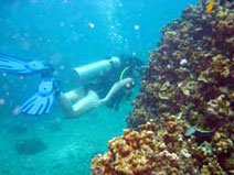 Mira our dive master