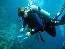 Todd our padi Instructor