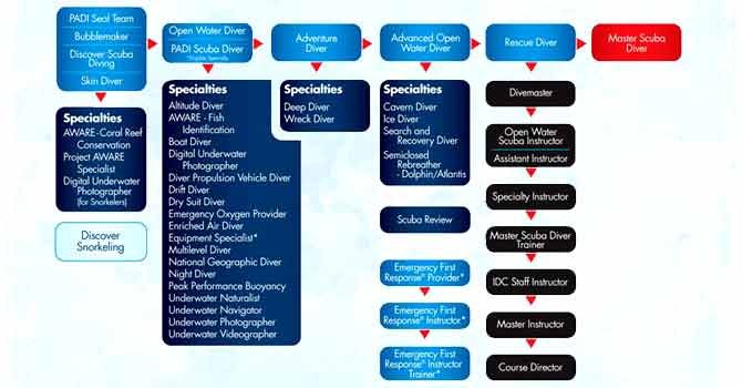 PADI course system