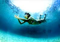 Snorkeling Koh Tao VIP Speedboat
