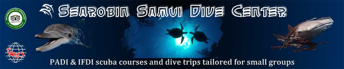 Searobin IFDI Dive Center Koh Samui